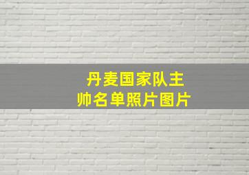 丹麦国家队主帅名单照片图片