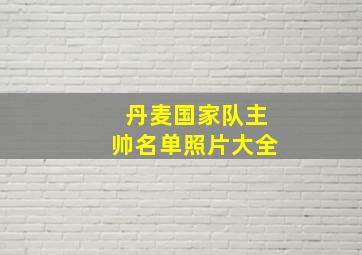 丹麦国家队主帅名单照片大全