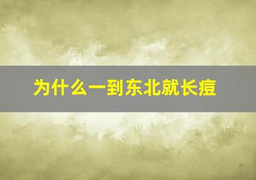 为什么一到东北就长痘