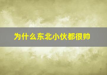 为什么东北小伙都很帅