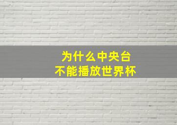 为什么中央台不能播放世界杯