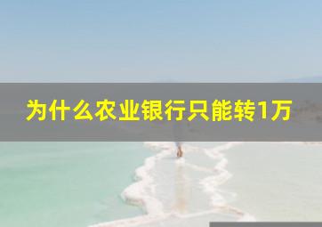 为什么农业银行只能转1万