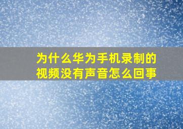 为什么华为手机录制的视频没有声音怎么回事