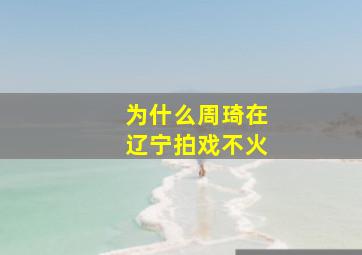 为什么周琦在辽宁拍戏不火