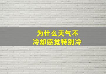 为什么天气不冷却感觉特别冷