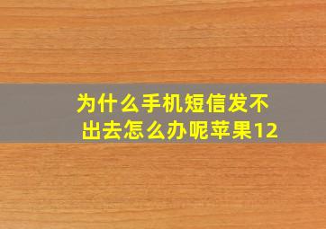 为什么手机短信发不出去怎么办呢苹果12