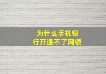 为什么手机银行开通不了网银