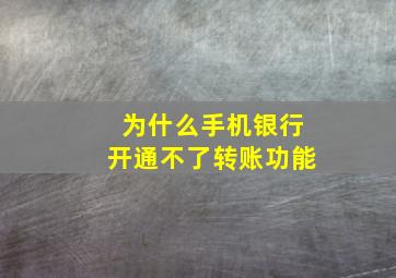 为什么手机银行开通不了转账功能