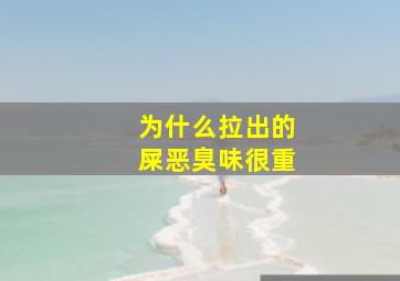 为什么拉出的屎恶臭味很重