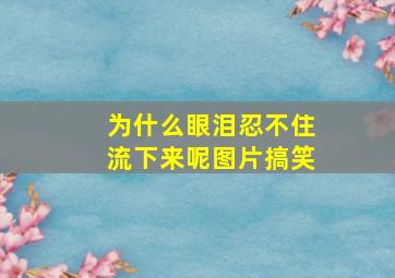 为什么眼泪忍不住流下来呢图片搞笑