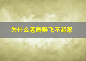 为什么老鹰群飞不起来