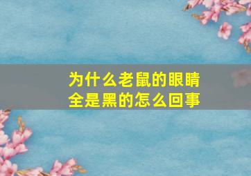 为什么老鼠的眼睛全是黑的怎么回事