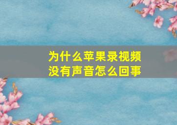 为什么苹果录视频没有声音怎么回事