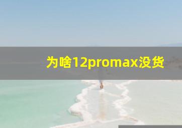 为啥12promax没货