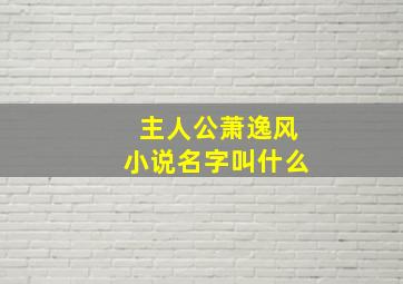 主人公萧逸风小说名字叫什么