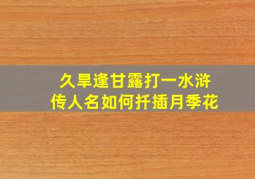 久旱逢甘露打一水浒传人名如何扦插月季花