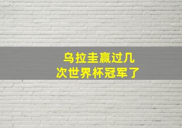 乌拉圭赢过几次世界杯冠军了