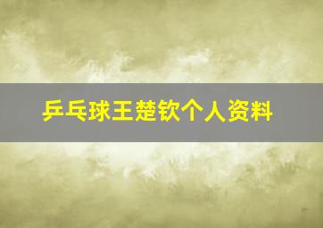 乒乓球王楚钦个人资料