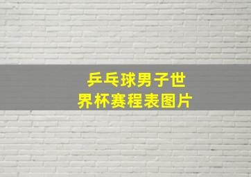 乒乓球男子世界杯赛程表图片