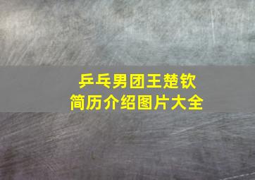 乒乓男团王楚钦简历介绍图片大全