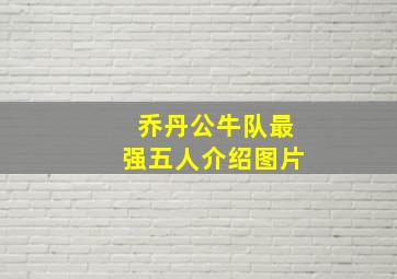 乔丹公牛队最强五人介绍图片