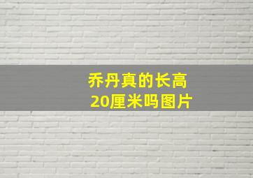 乔丹真的长高20厘米吗图片