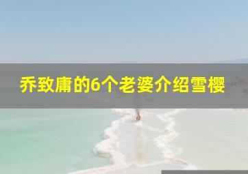 乔致庸的6个老婆介绍雪樱