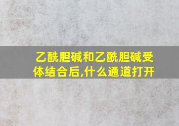 乙酰胆碱和乙酰胆碱受体结合后,什么通道打开