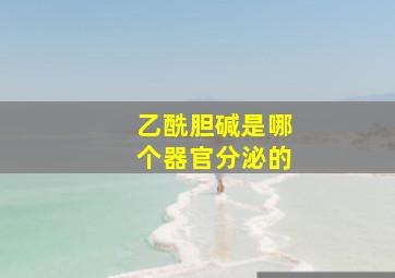 乙酰胆碱是哪个器官分泌的