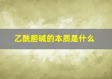 乙酰胆碱的本质是什么