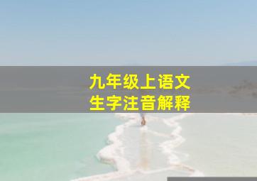 九年级上语文生字注音解释