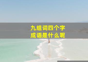 九组词四个字成语是什么呢