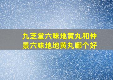 九芝堂六味地黄丸和仲景六味地地黄丸哪个好