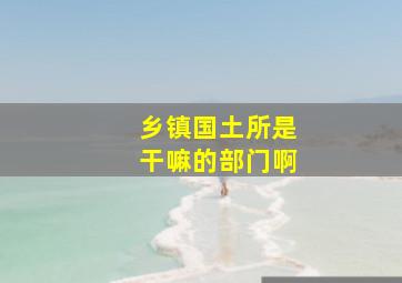 乡镇国土所是干嘛的部门啊