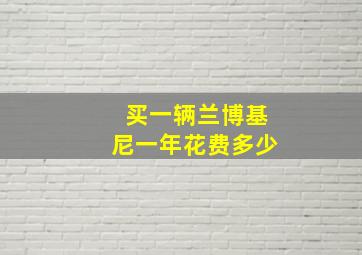 买一辆兰博基尼一年花费多少