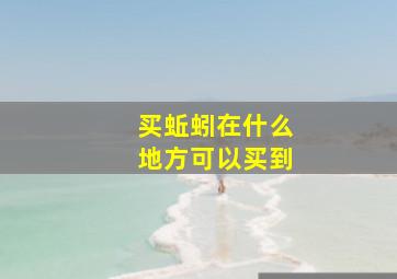 买蚯蚓在什么地方可以买到