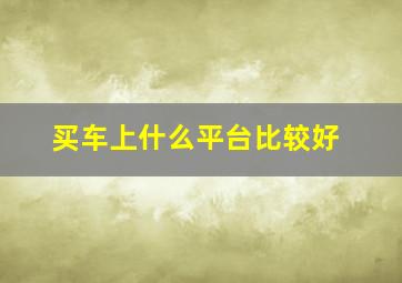 买车上什么平台比较好