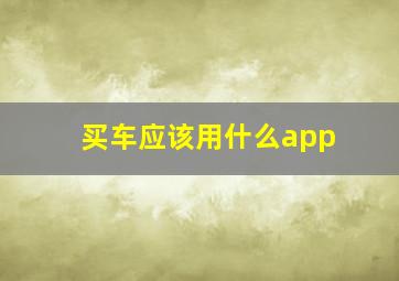 买车应该用什么app