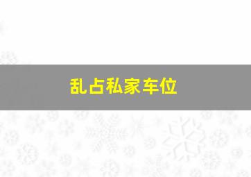 乱占私家车位