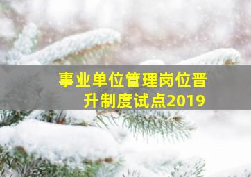 事业单位管理岗位晋升制度试点2019