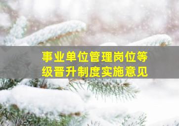 事业单位管理岗位等级晋升制度实施意见