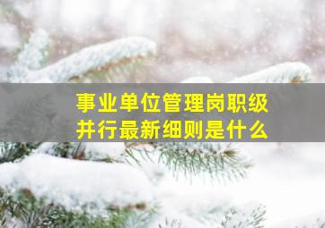 事业单位管理岗职级并行最新细则是什么