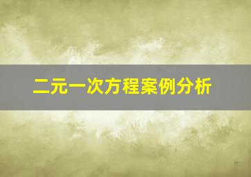 二元一次方程案例分析