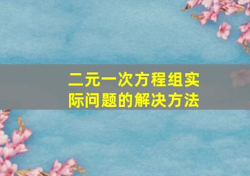 二元一次方程组实际问题的解决方法