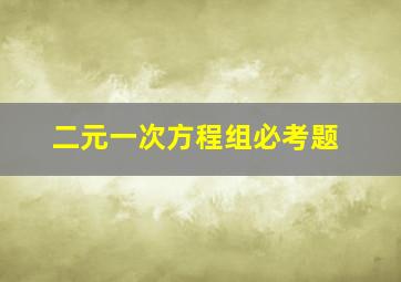 二元一次方程组必考题