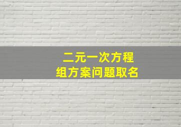 二元一次方程组方案问题取名