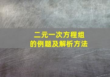 二元一次方程组的例题及解析方法