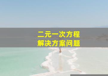 二元一次方程解决方案问题