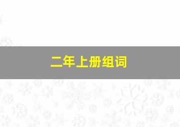 二年上册组词