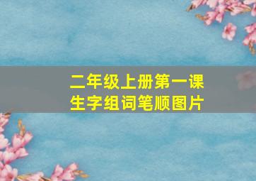 二年级上册第一课生字组词笔顺图片